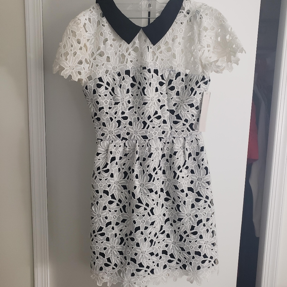 Aqua White Lace Peter Pan Mini Dress